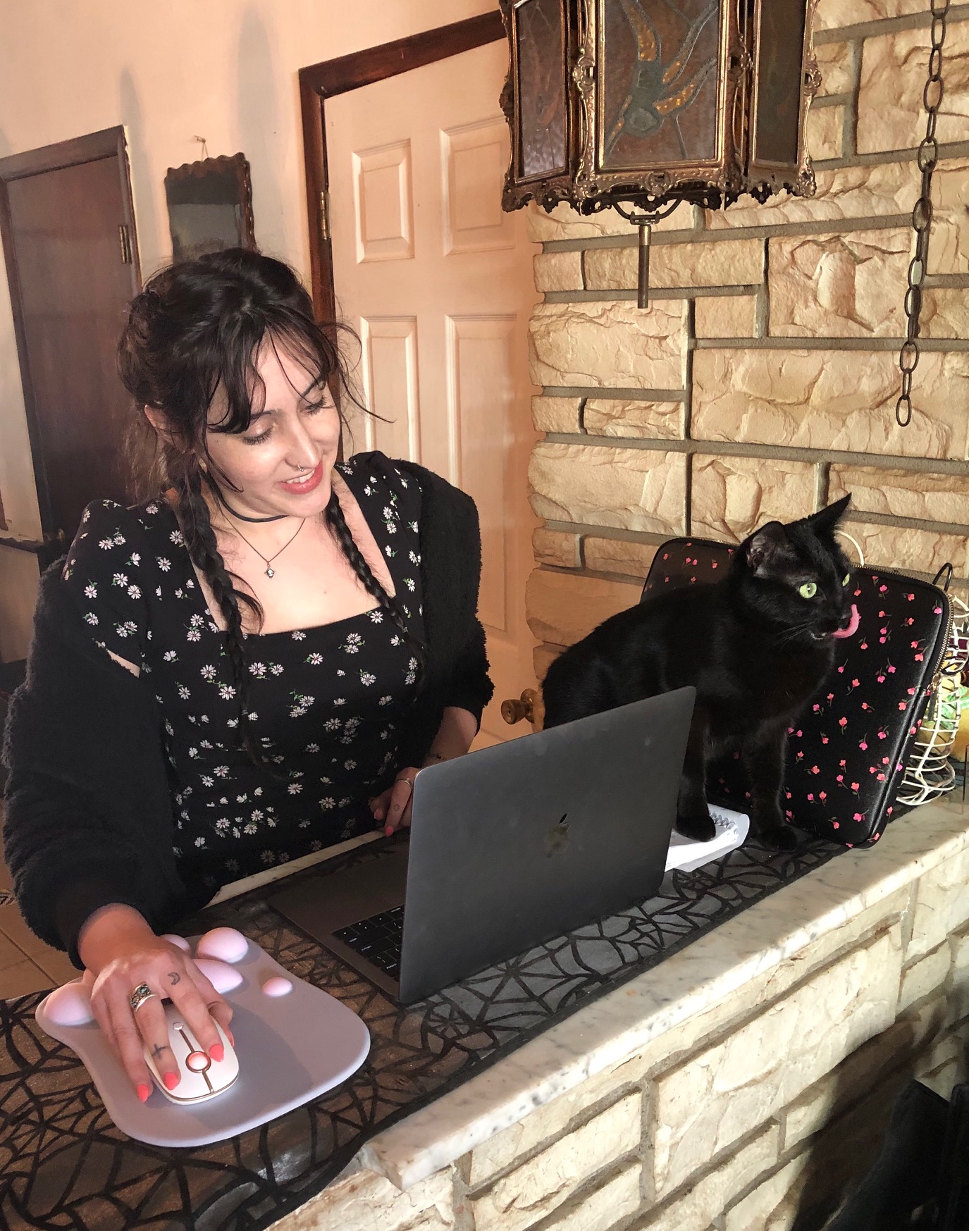 A woman sits at her laptop while a cat watches